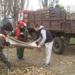 Толока 14.11.2014