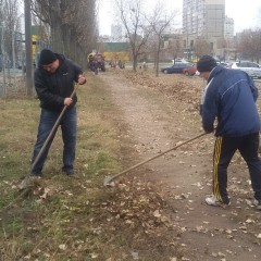 Толока 14.11.2014