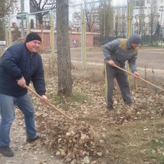 Толока 14.11.2014