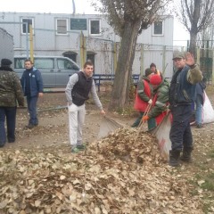 Толока 14.11.2014