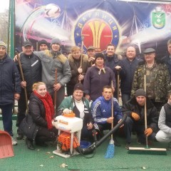 Толока 14.11.2014